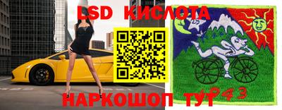 a pvp Ирбит