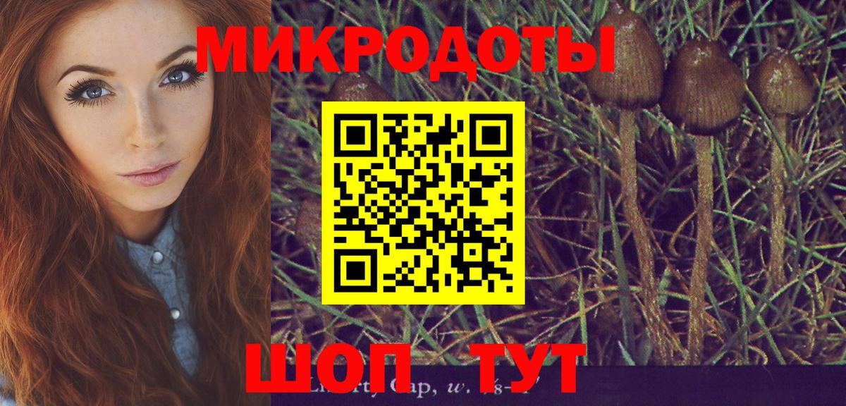 Псилоцибиновые грибы прущие грибы  Вход с VPN  Лесосибирск 