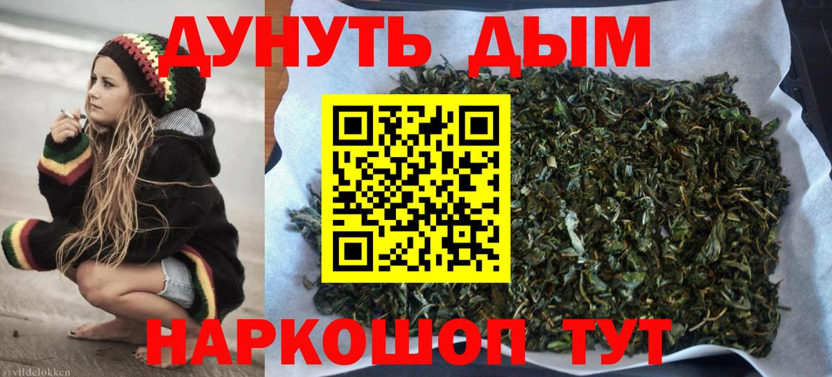 Бошки Шишки семена Лесосибирск